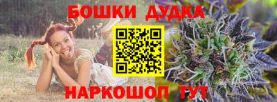 тгк Будённовск