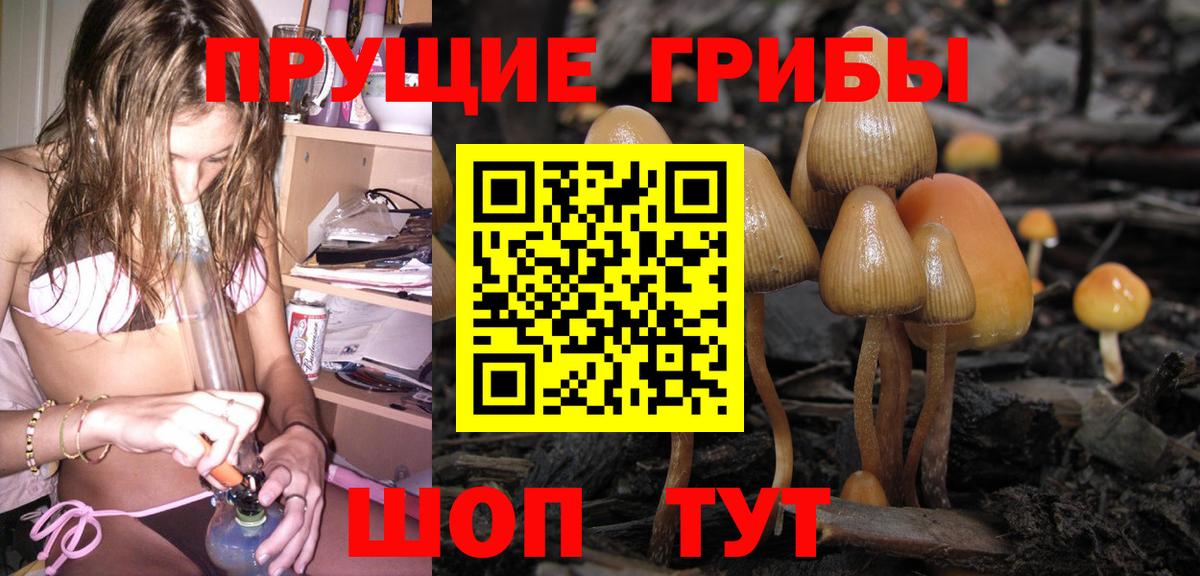 Галлюциногенные грибы Psilocybine cubensis  Вход с VPN  Галлюциногенные грибы MAGIC MUSHROOMS  Сокол 